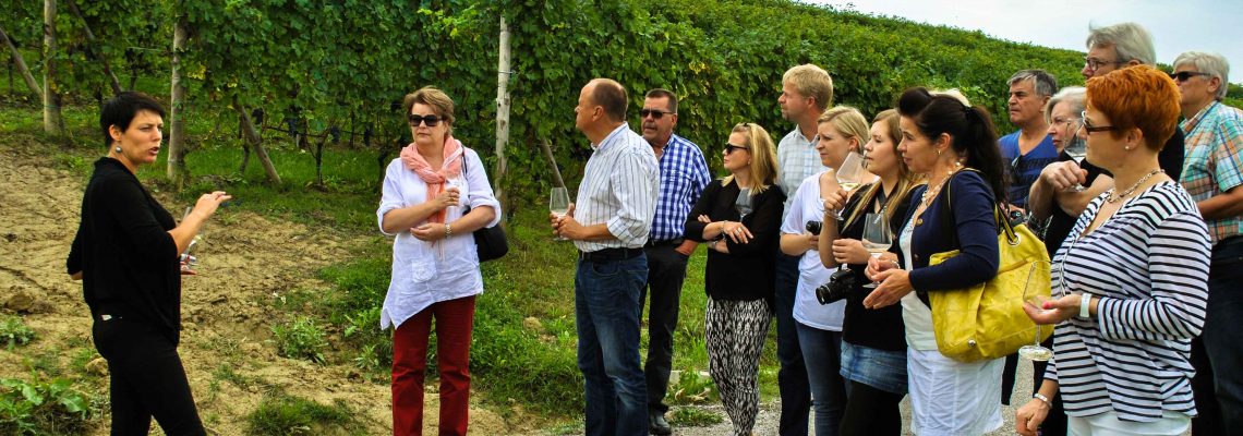 Group Tasting at Sukula