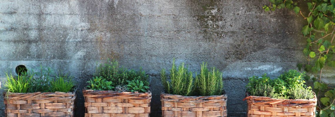 Herbs at Azienda Agricola Sukula